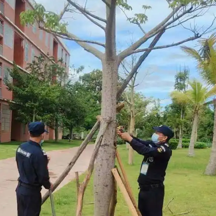 聞“風(fēng)”而動，全力以“復(fù)” | 災(zāi)后重建，百雀人在行動